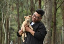 Fur parents, bid goodbye to animal bite worries with Maxicare PRIMA Animal Bite Care