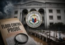 Romualdez camp raises concern over possible pressure on Bonoan in flood probe